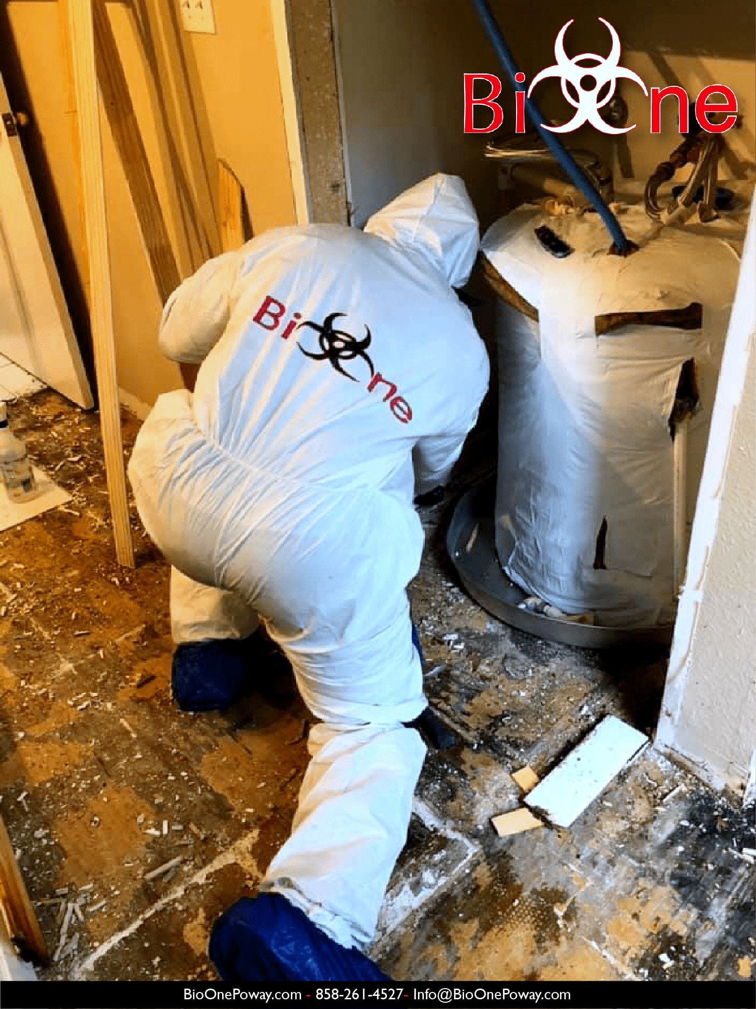 Image shows Bio-One technician performing mold damage remediation.