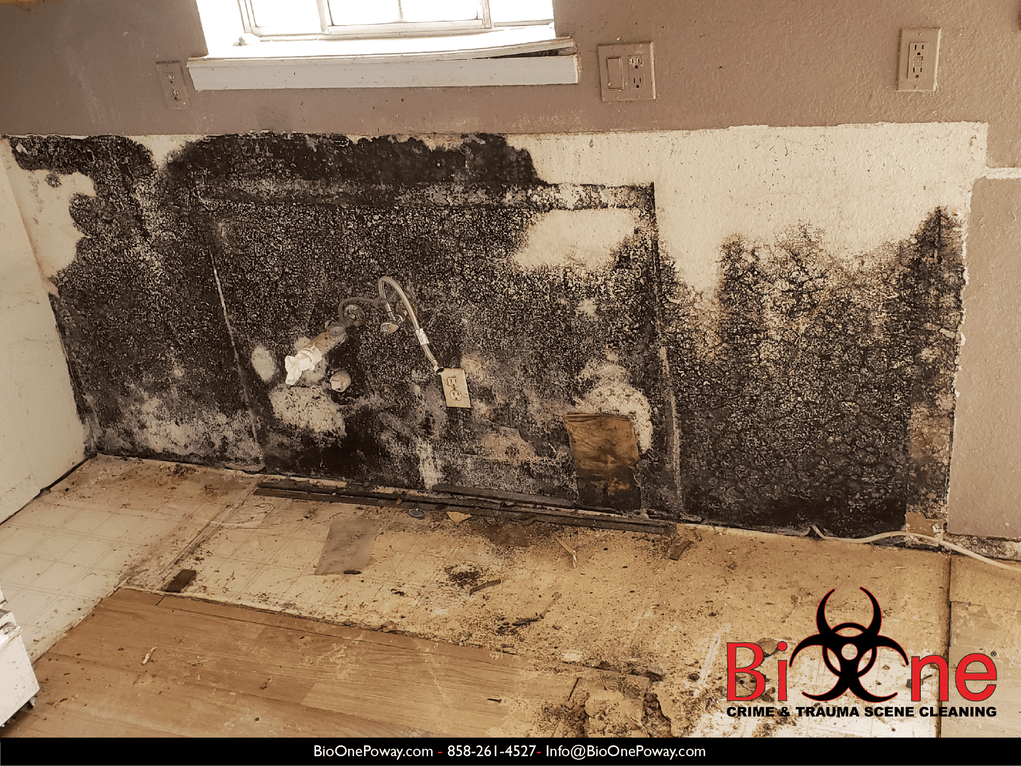 Image shows mold damage behind kitchen counters that were removed.