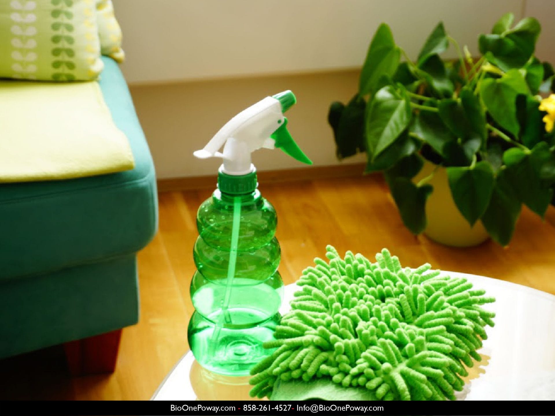 Image shows cleaning and disinfecting products.