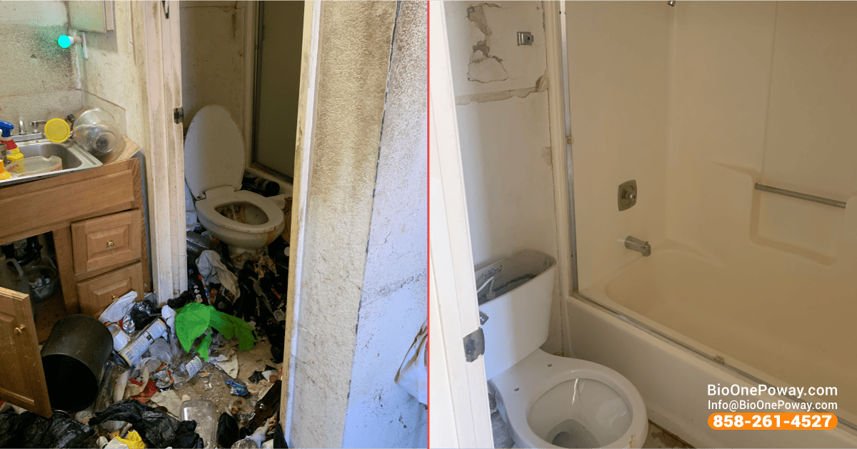 Odor removal - Before and after.