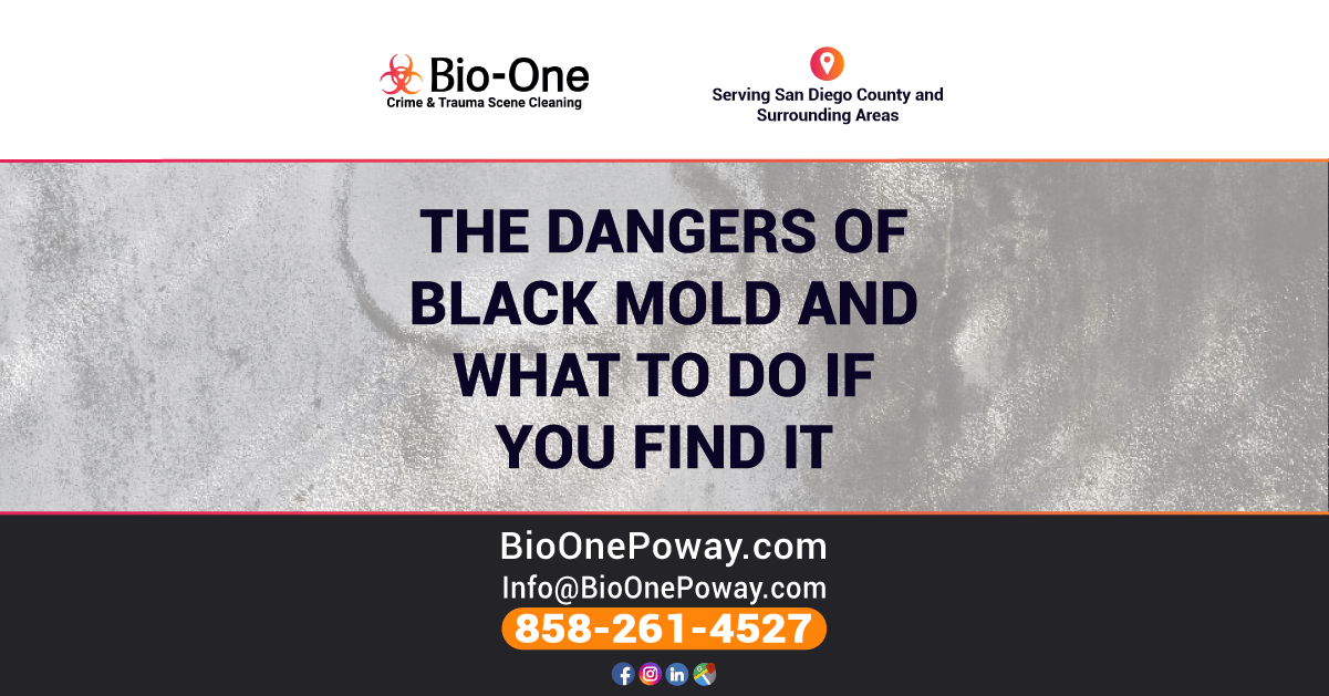 Bio-One of Poway - The Dangers of Black Mold and What to Do if You Find it