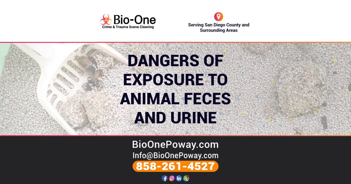 Dangers of Exposure to Animal Feces and Urine - Bio-One of Poway.