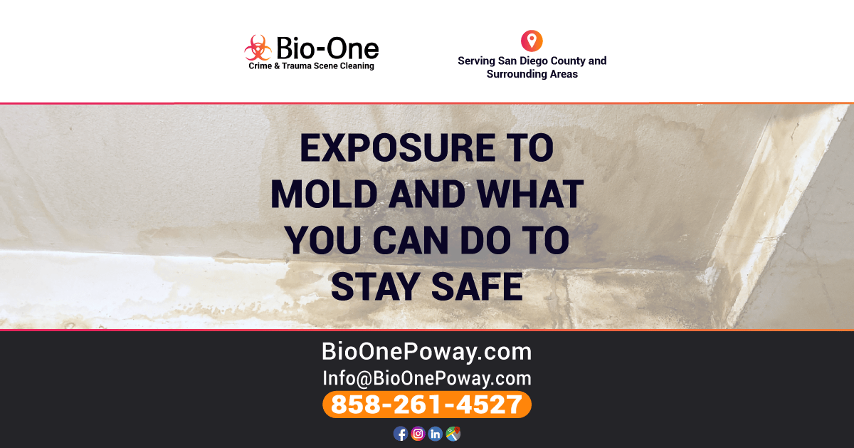 Exposure to Mold and What You Can Do to Stay Safe - Bio-One of Poway