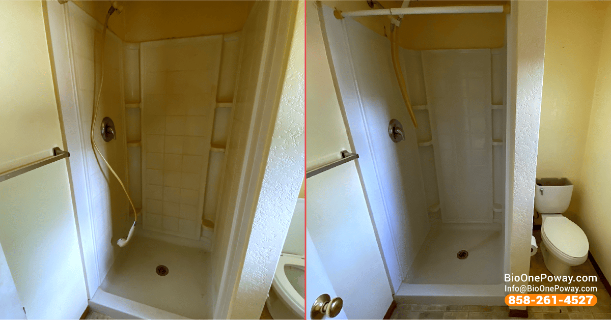 Mold cleanup and remediation before and after. Before and after.