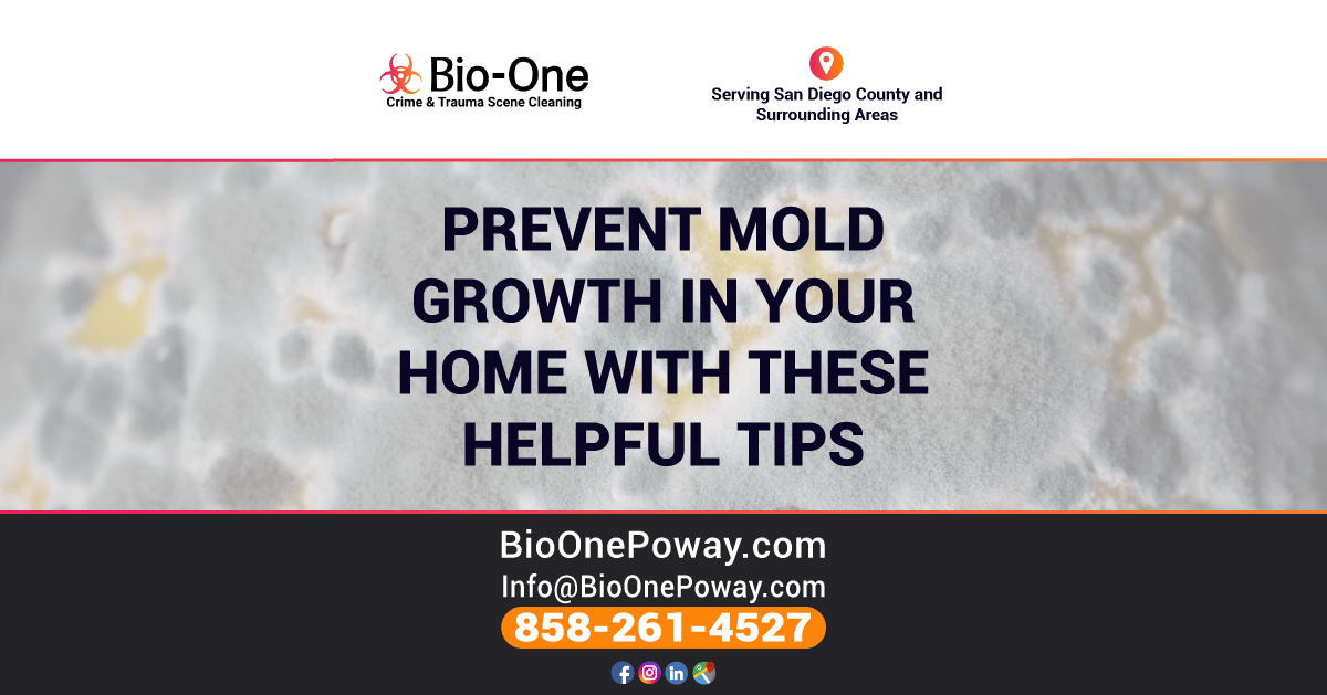 Prevent Mold Growth in Your Home With These Helpful Tips - Bio-One of Poway