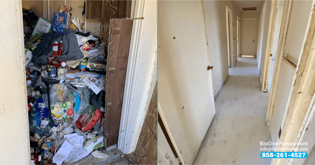 Bio-One is prepared to take on even the most extreme cases of hoarding and squalor. Before and after.