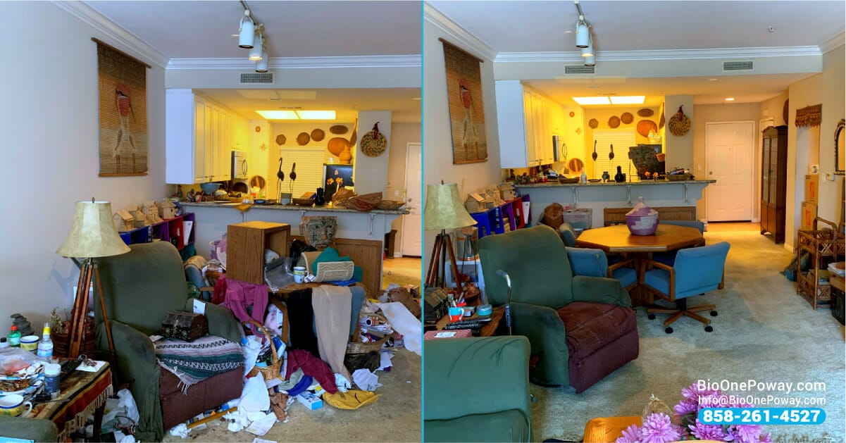 hoarding cleanup before and after