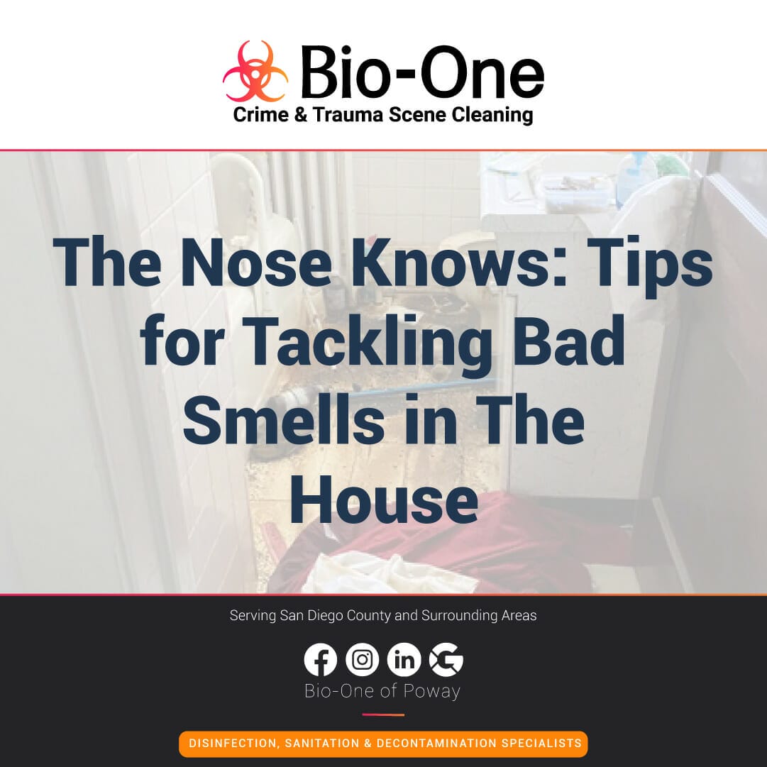 The Nose Knows: Tips for Tackling Bad Smells in The House - Bio-One of Poway