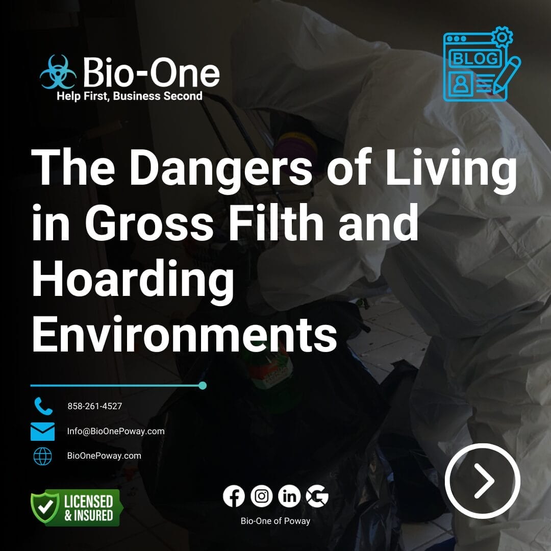 The Dangers of Living in Gross Filth and Hoarding Environments - Bio-One of Poway