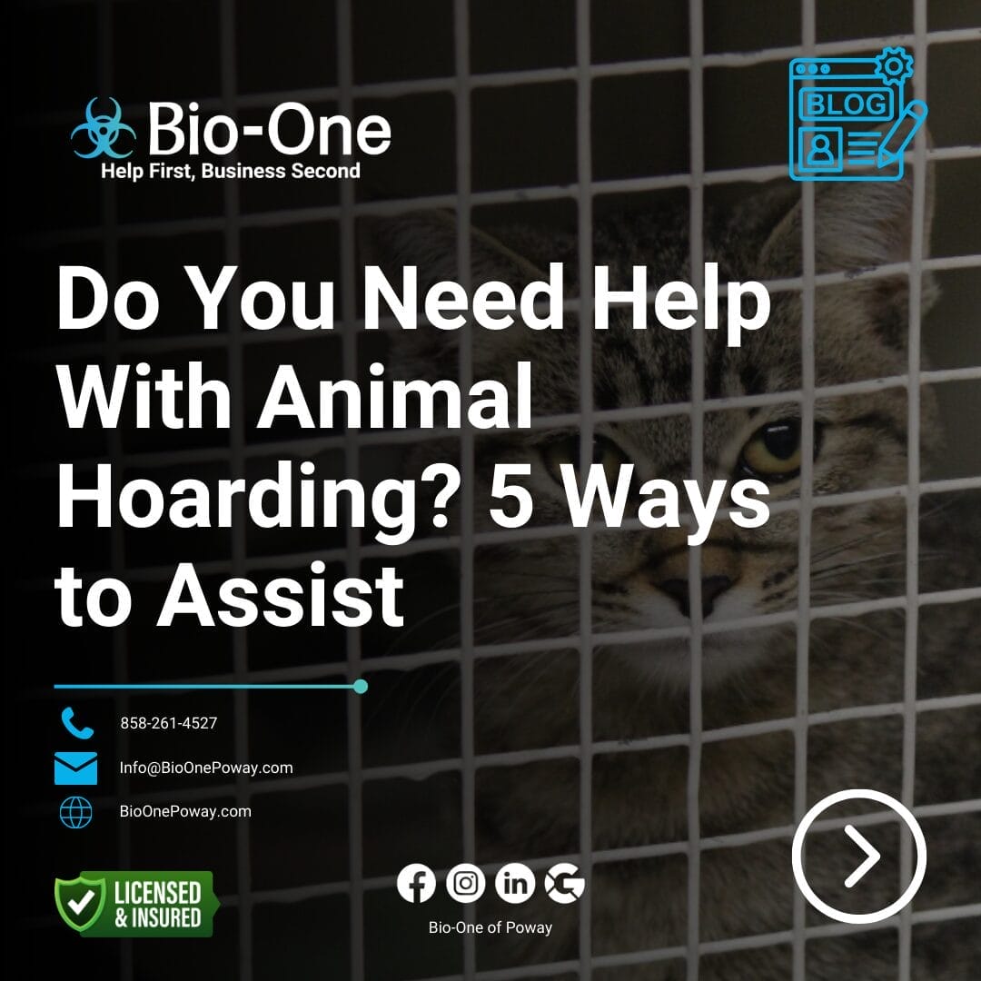 Do You Need Help With Animal Hoarding 5 Ways to Assist - Bio-One of Poway